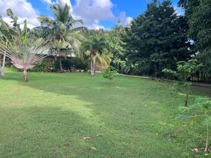 a grassy field with palm trees in a park at Maison Nature in Le Moule