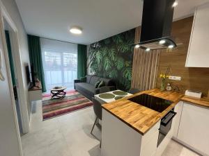 eine Küche und ein Wohnzimmer mit einem Sofa in der Unterkunft Apartament Zacisze 13 in Piaseczno
