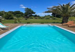 a blue swimming pool with a deck and a palm tree at Le Domaine d'Etaville in Sottevast