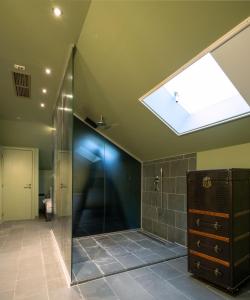 een badkamer met een douche en een dakraam bij Quartier-Sud in Antwerpen