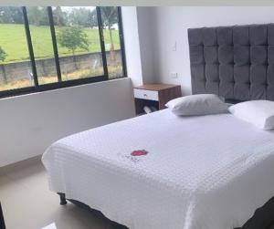 a bedroom with a white bed and a large window at HOTEL EL CACIQUE POPAYAN in Popayan