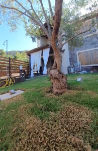 Φωτογραφία από το άλμπουμ του VillaVittoria σε Chia