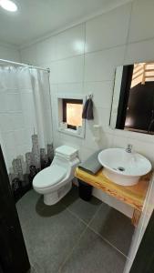 a bathroom with a toilet and a sink at Tiny house en bosque nativo camino a Termas de Chillan in Recinto