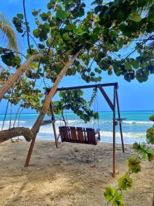 a swing hanging from a tree on the beach at Villa Esperanza in Palomino