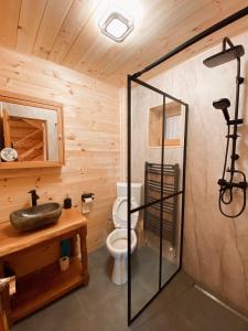 a bathroom with a toilet and a glass shower stall at Green Cottage in Râşnov