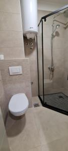 łazienka z toaletą i prysznicem w obiekcie Apartman Snezni Vrh - Bela Reka, Brzece w mieście Brzeće