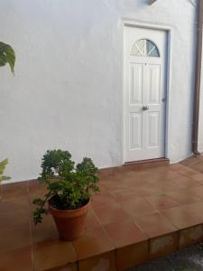 a white door and a potted plant on a patio at Río Genil in Pinos Genil
