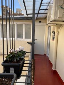 Un balcón con una planta en una olla. en Barri Vell 4, en Manresa