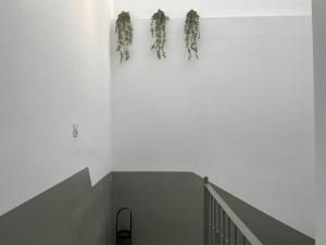 Fotografie z fotogalerie ubytování Barri Vell 4 v destinaci Manresa