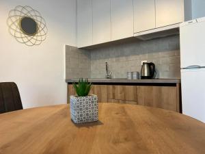 Köök või kööginurk majutusasutuses Ilias Nest 1