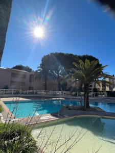 einen Swimmingpool mit Palmen und Sonne in der Unterkunft 1 bedroom apartment in a residence with a swimming pool and a parking spot in Vallauris