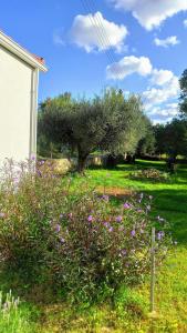 un jardín con flores púrpuras en la hierba en Rizaki Cottage in Nafpaktos, en Nafpaktos