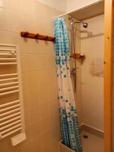 La salle de bains est pourvue d'une douche avec un rideau de douche bleu et blanc. dans l'établissement Résidence Arche - Studio pour 4 Personnes 084, à Magland