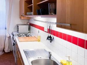 eine kleine Küche mit einer Spüle und einem Herd in der Unterkunft Rodinný byt pro 4 na Brno-střed in Brünn