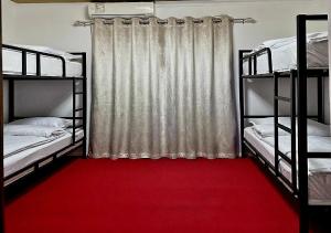 a bedroom with two bunk beds and a red carpet at Alifa Lux Guesthouse in Samarkand