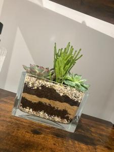 a glass vase with plants in it on a table at Boundary House Studio, Moulton in Moulton +24 photos