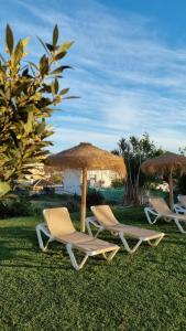 3 Liegestühle und Sonnenschirme auf dem Rasen in der Unterkunft Casa mama lola in Fuengirola