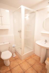 a bathroom with a shower and a toilet and a sink at Les Chalets Petit Bonheur - LES CHALETS PETIT BONHEUR - CHT84 MAE-2504 in Villarodin-Bourget