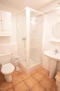 a bathroom with a shower and a toilet and a sink at Les Chalets Petit Bonheur - Chalets pour 6 Personnes 504 in Villarodin-Bourget