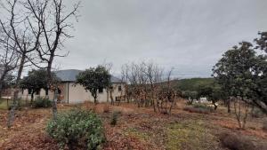 una casa en medio de un campo con árboles en La Lumbre: encanto con piscina todo el año, en Castillejo de Mesleón