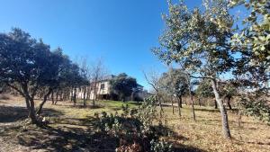 a house in the middle of a field with trees at La Lumbre: encanto con piscina todo el año in Castillejo de Mesleón