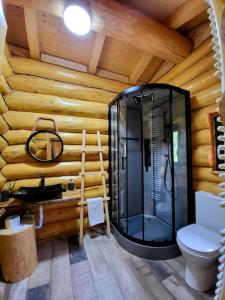 baño con ducha de cristal en una cabaña de madera en Perla Chiuzbaii en Baia-Sprie