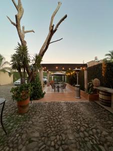 Fotografie z fotogalerie ubytování Hotel Boutique Real Tequila v destinaci Tequila