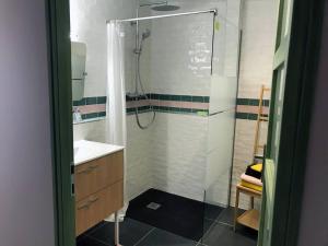 een badkamer met een douche en een wastafel bij Appartement de 2 chambres avec terrasse et wifi a Meaux in Meaux