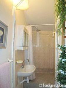 uma casa de banho com um lavatório e um chuveiro em Appartement de 2 chambres avec wifi a Nice em Nice