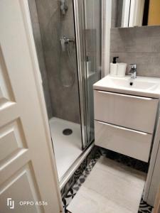 La salle de bains est pourvue d'une douche et d'un lavabo. dans l'établissement Studio Boulogne Billancourt, à Boulogne-Billancourt