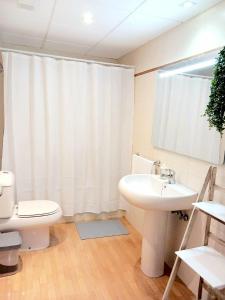 サンタ・フェにあるEl Rincón del viajero - Parking privadoのトイレと洗面台付きのバスルーム