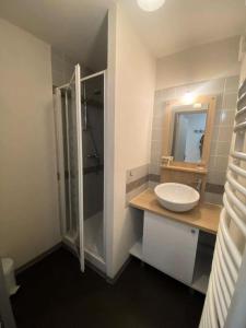 a bathroom with a sink and a shower at Résidence Bois De Marie - 2 Pièces pour 6 Personnes 254 in Barèges
