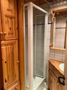 a shower with a glass door in a bathroom at Résidence Neige Et Glace - Studio pour 4 Personnes 901 in Val-d'Isère
