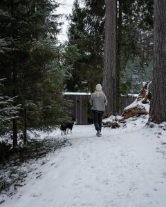 une personne se promenant sur un chemin enneigé avec un chien dans l'établissement Unique Modern Cabin with Views, 