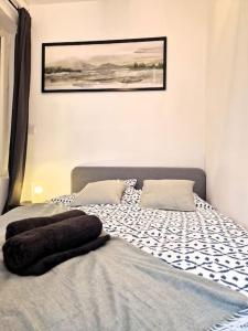 ein Bett mit zwei Kissen darauf in einem Schlafzimmer in der Unterkunft *Le Studio Rayonnant* Centre-ville *TV-HD* in Le Mans