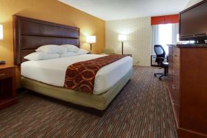 Postel nebo postele na pokoji v ubytování Drury Inn & Suites Denver Tech Center