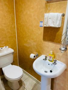 La salle de bains est pourvue de toilettes blanches et d'un lavabo. dans l'établissement The Limes Guest House, à Montrose
