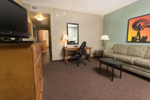 TV a/nebo společenská místnost v ubytování Drury Plaza Hotel San Antonio North Stone Oak