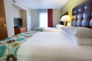 Postel nebo postele na pokoji v ubytování Drury Inn & Suites McAllen