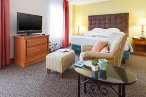 TV a/nebo společenská místnost v ubytování Drury Inn & Suites McAllen