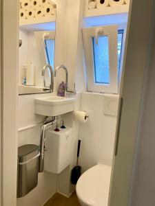 La petite salle de bains est pourvue de toilettes et d'un lavabo. dans l'établissement gemütliches Dachgeschoss, à Bonn