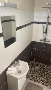 La salle de bains est pourvue de toilettes, d'un lavabo et d'un miroir. dans l'établissement Joli appartement cosy avec piscine, à Les Abymes