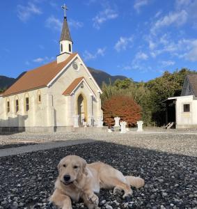 um cão deitado no chão em frente a uma igreja em Cottage Morinokokage em Yakushima