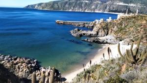 a view of a beach with palm trees and the ocean at Casona Pretton in Valparaíso