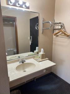 諾福克的住宿－諾福克生態力士酒店，一间带水槽和镜子的浴室