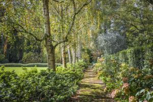 a path through a garden with trees and bushes at The Cottage at Bolobek in Macedon