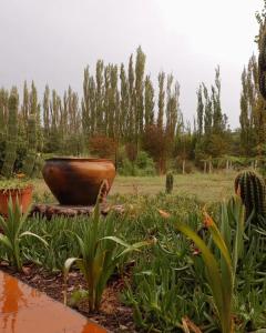 un jarrón grande sentado en medio de un jardín en La Posada de Cloe en Seclantás