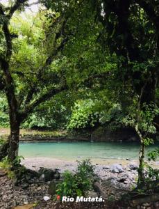 uitzicht op een rivier door de bomen bij Hotel Bruselas Mutata in Mutatá