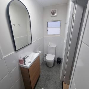 ein Badezimmer mit einem WC, einem Waschbecken und einem Spiegel in der Unterkunft Pichi Richi Park in Quorn