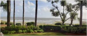 a view of a beach with palm trees and the ocean at Tranquility By The Beach 1st Fl Sleeps 6,king Bed in Hilton Head Island